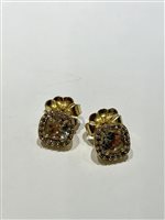 Earrings Aquaforte Woman PREZIOSA in Silver H4180484